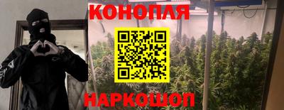 мяу мяу мука Беслан