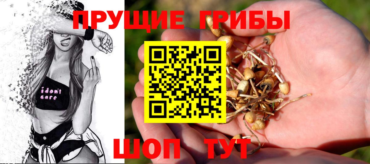 Беслан  Псилоцибиновые грибы прущие грибы  где купить   Вход с VPN 